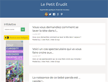 Tablet Screenshot of lepetiterudit.com